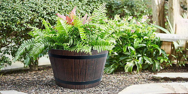 The 4 Best Barrel Planters for Your Outdoor Space