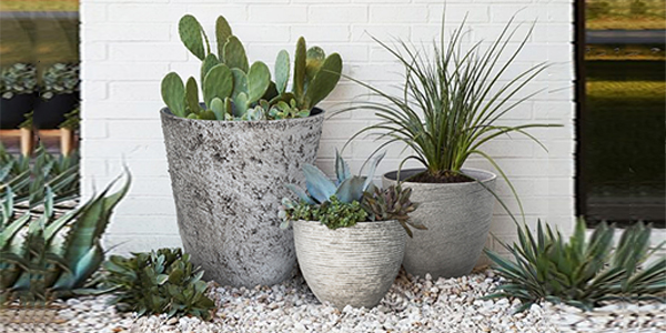 Unique and Creative Planter Pots Ideas You Never Thought Of